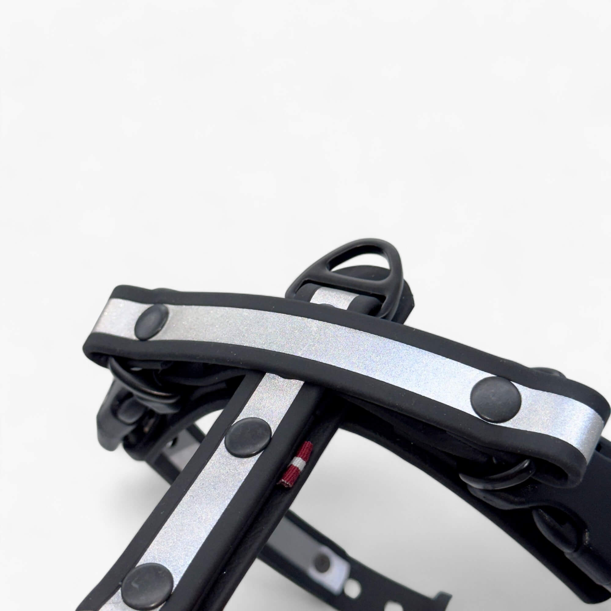 Canine Quest — Biothane Dog Harnesses with an Anatomical Design