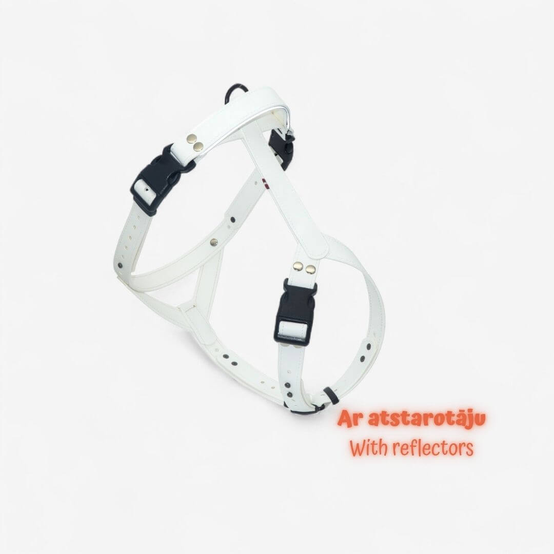 EasyFit Anatomical Y/H Harness – Waterproof & Cold-Resistant for Dogs - Lime mint green