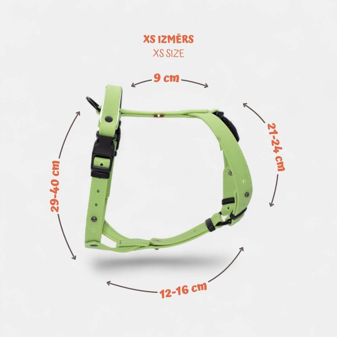 EasyFit Anatomical Y/H Harness – Waterproof & Cold-Resistant for Dogs - Lime mint green