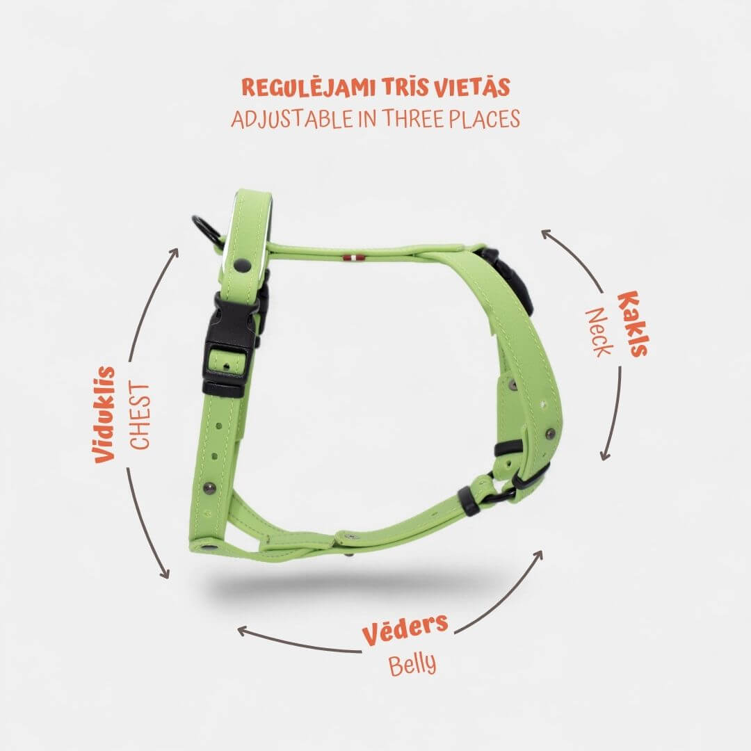 EasyFit Anatomical Y/H Harness – Waterproof & Cold-Resistant for Dogs - Lime mint green