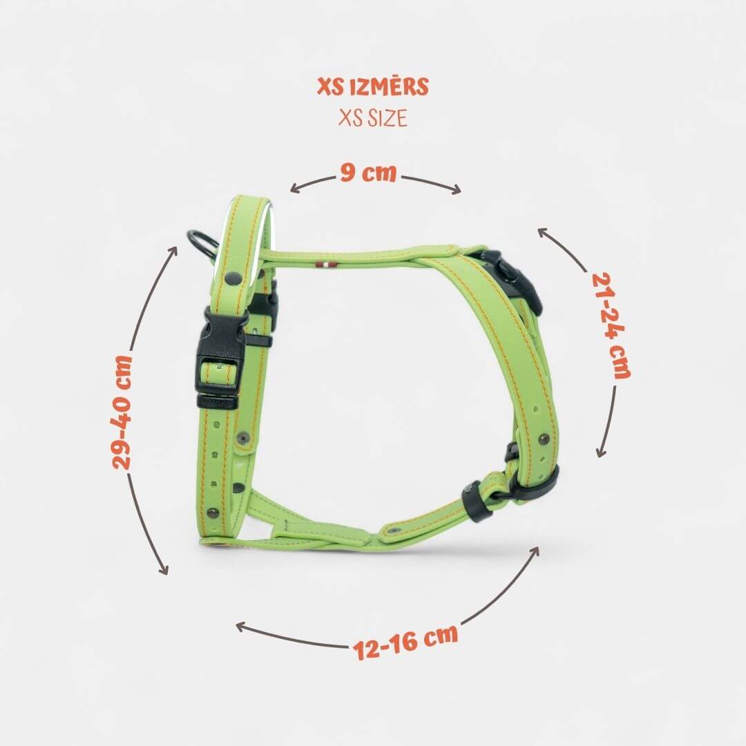 EasyFit Anatomical Y/H Harness – Waterproof & Cold-Resistant for Dogs - Lime mint green