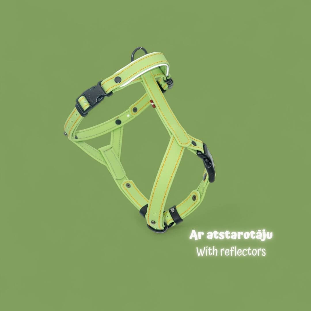 EasyFit Anatomical Y/H Harness – Waterproof & Cold-Resistant for Dogs - Lime mint green