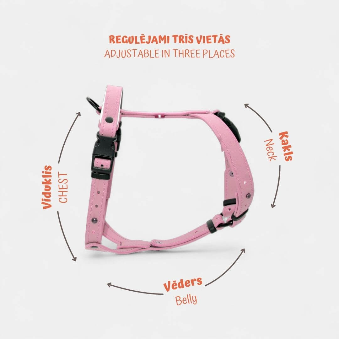 EasyFit Anatomical Y/H Harness – Waterproof & Cold-Resistant for Dogs - Lime mint green