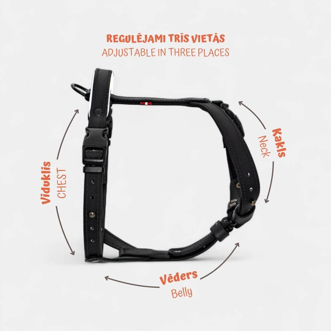 EasyFit Anatomical Y/H Harness – Waterproof & Cold-Resistant for Dogs - black