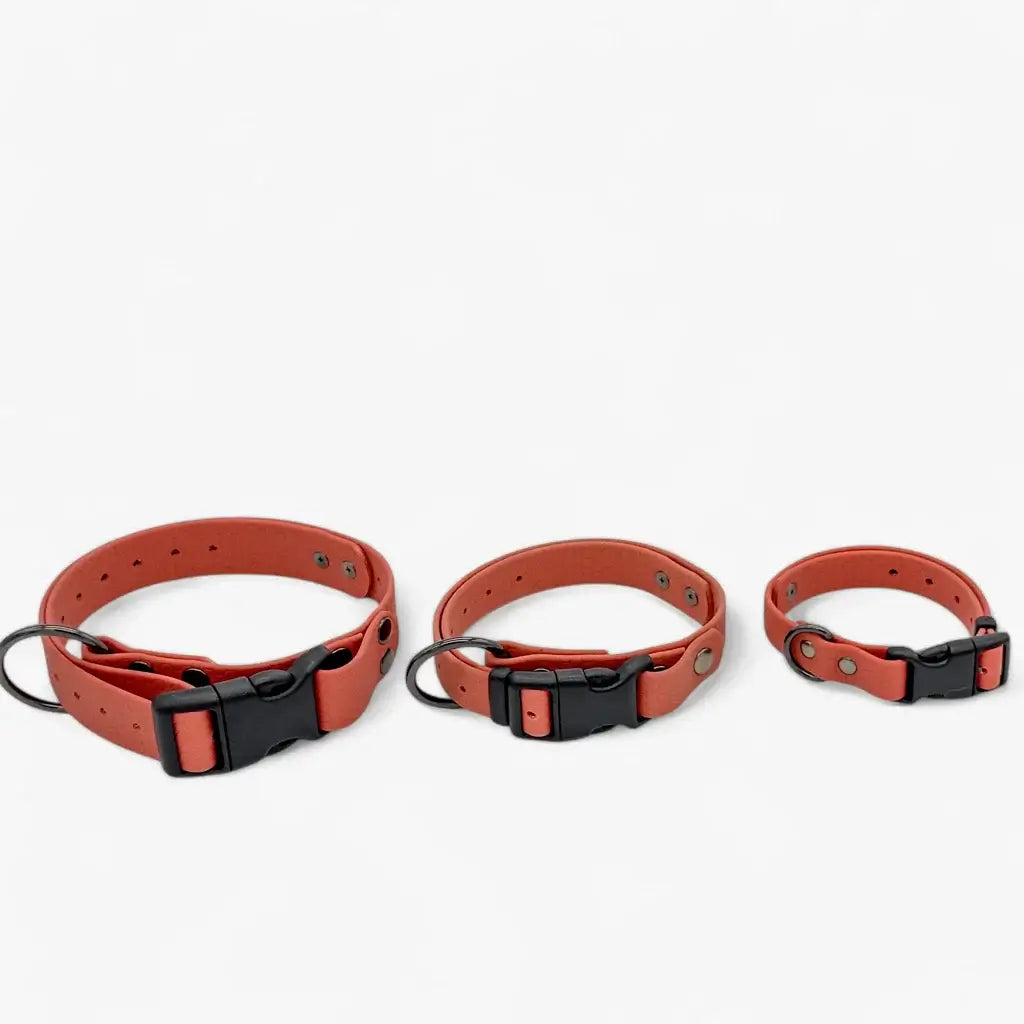 Hexa waterproof neck strap for dogs