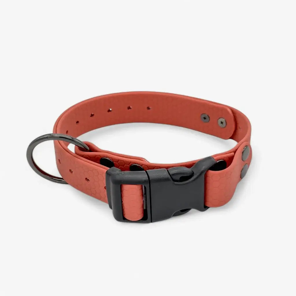 Hexa waterproof neck strap for dogs