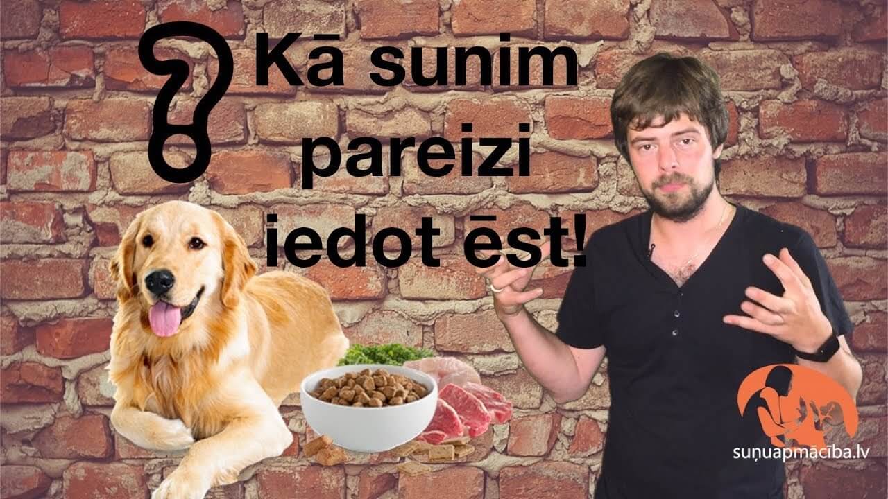 Kā sunim pareizi pasniegt ēdienu. - ObiDog