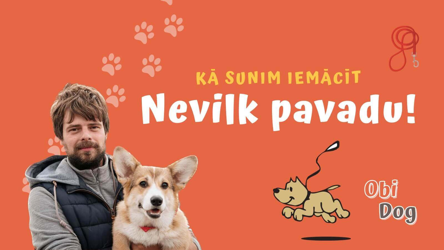 Kā sunim iemācīt nevilkt pavadu! - ObiDog