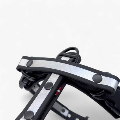 Canine Quest — Biothane Dog Harnesses with an Anatomical Design