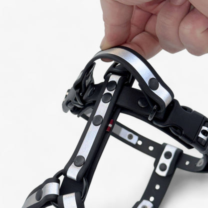 Canine Quest — Biothane Dog Harnesses with an Anatomical Design