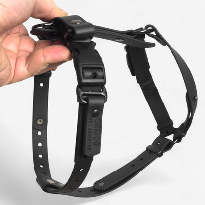 Canine Quest — Biothane Dog Harnesses with an Anatomical Design