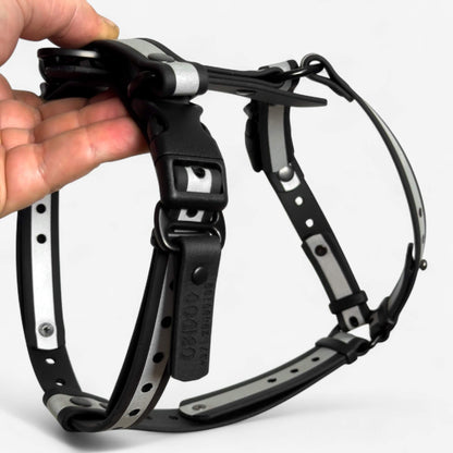 Canine Quest — Biothane Dog Harnesses with an Anatomical Design