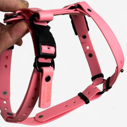 Canine Quest — Biothane Dog Harnesses with an Anatomical Design