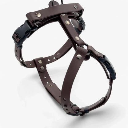 Canine Quest — Biothane Dog Harnesses with an Anatomical Design