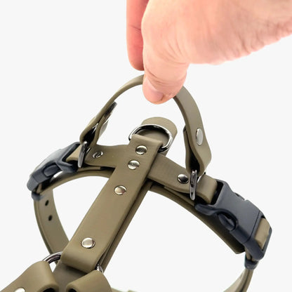 Canine Quest — Biothane Dog Harnesses with an Anatomical Design