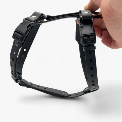 Canine Quest — Biothane Dog Harnesses with an Anatomical Design