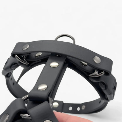 Canine Quest — Biothane Dog Harnesses with an Anatomical Design