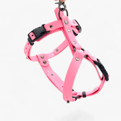Canine Quest — Biothane Dog Harnesses with an Anatomical Design