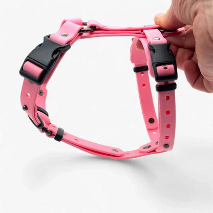 Canine Quest — Biothane Dog Harnesses with an Anatomical Design