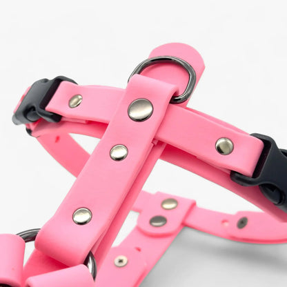 Canine Quest — Biothane Dog Harnesses with an Anatomical Design