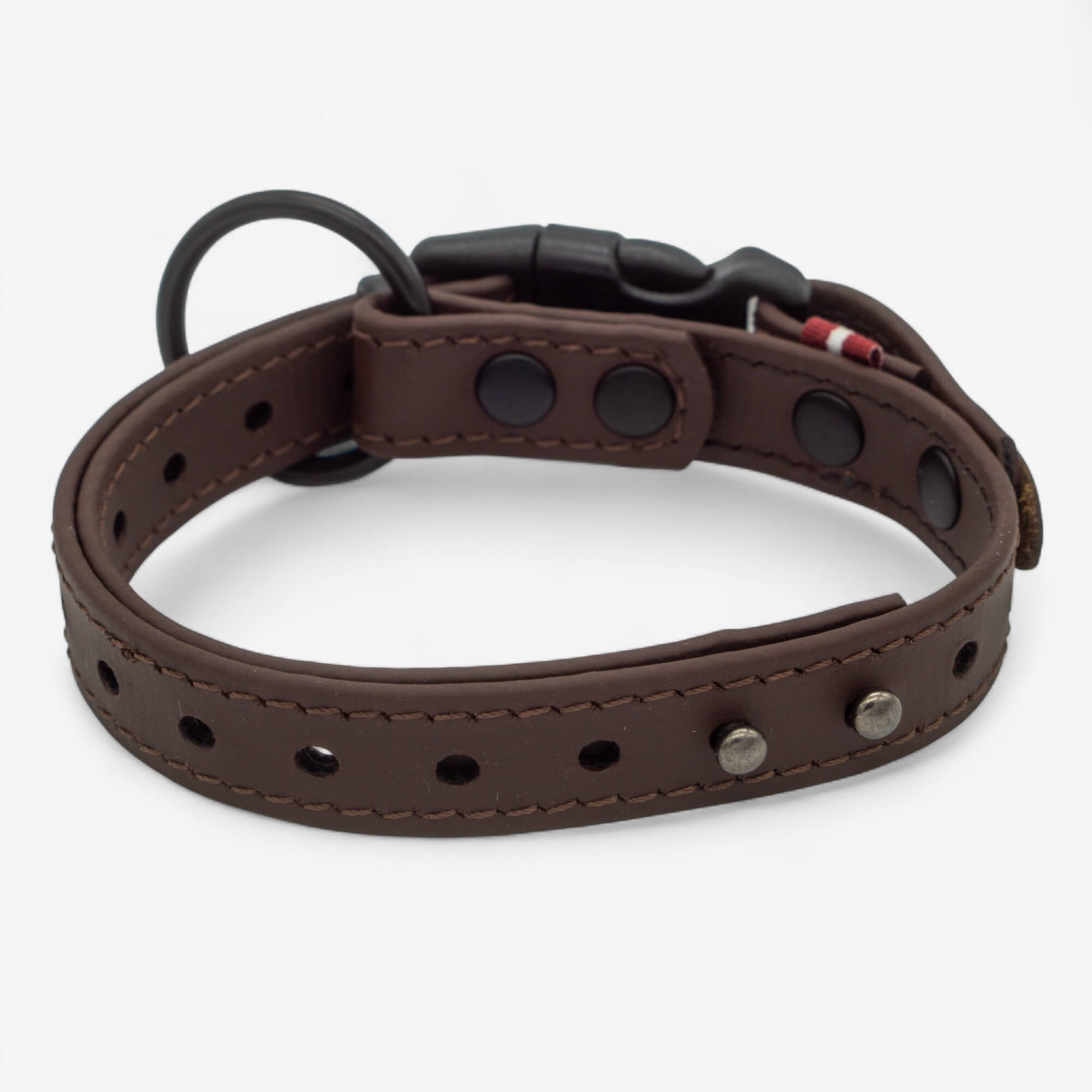 BioThane neck strap for dogs