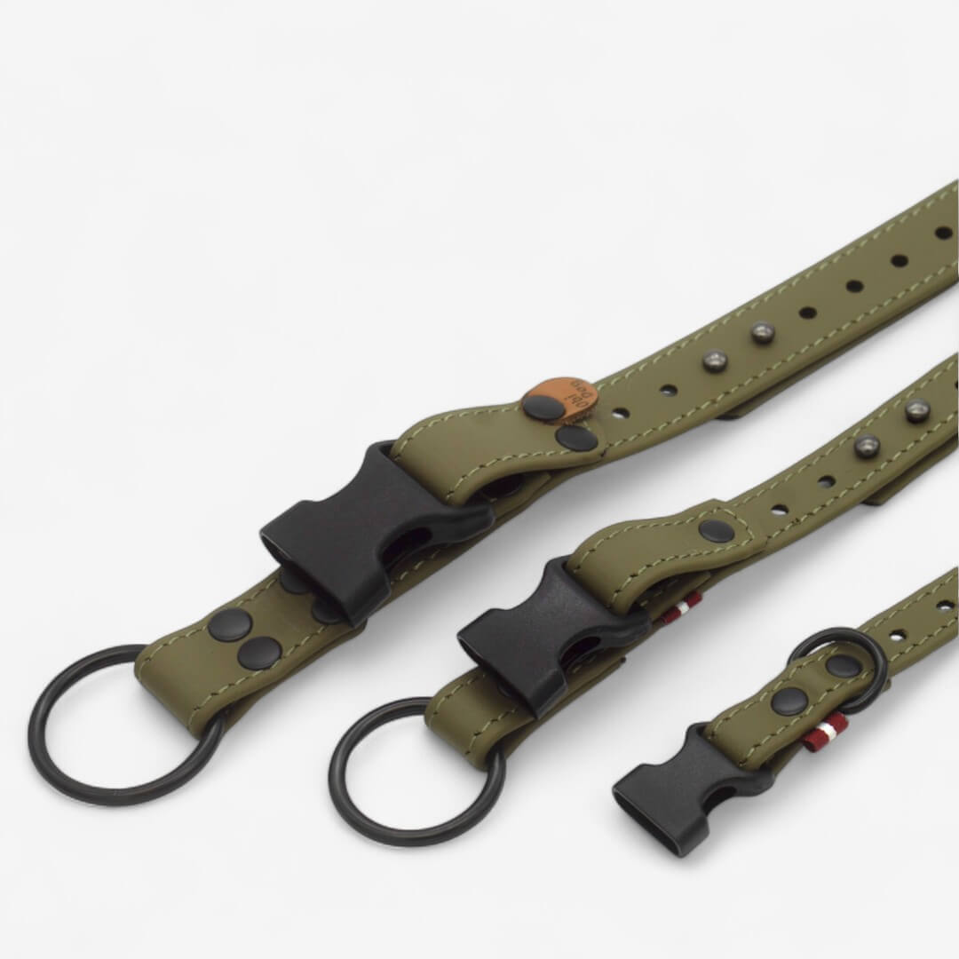 BioThane neck strap for dogs