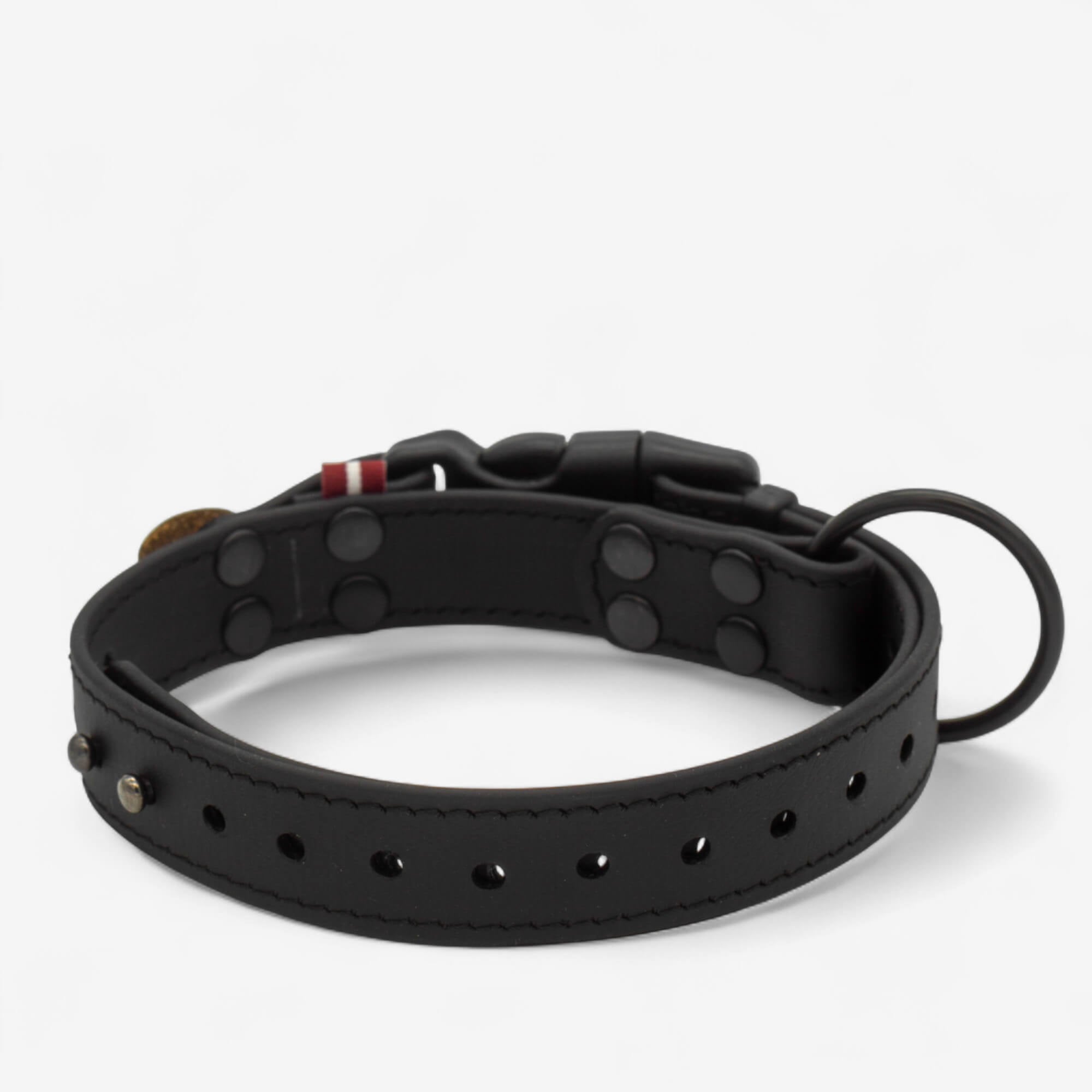 BioThane neck strap for dogs