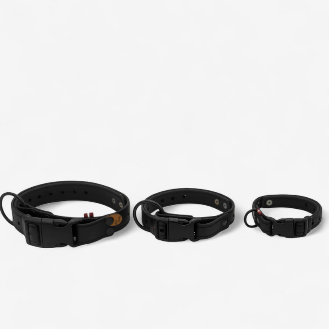 BioThane neck strap for dogs