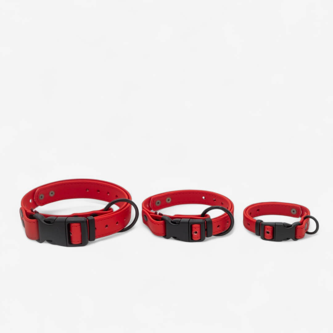 BioThane neck strap for dogs