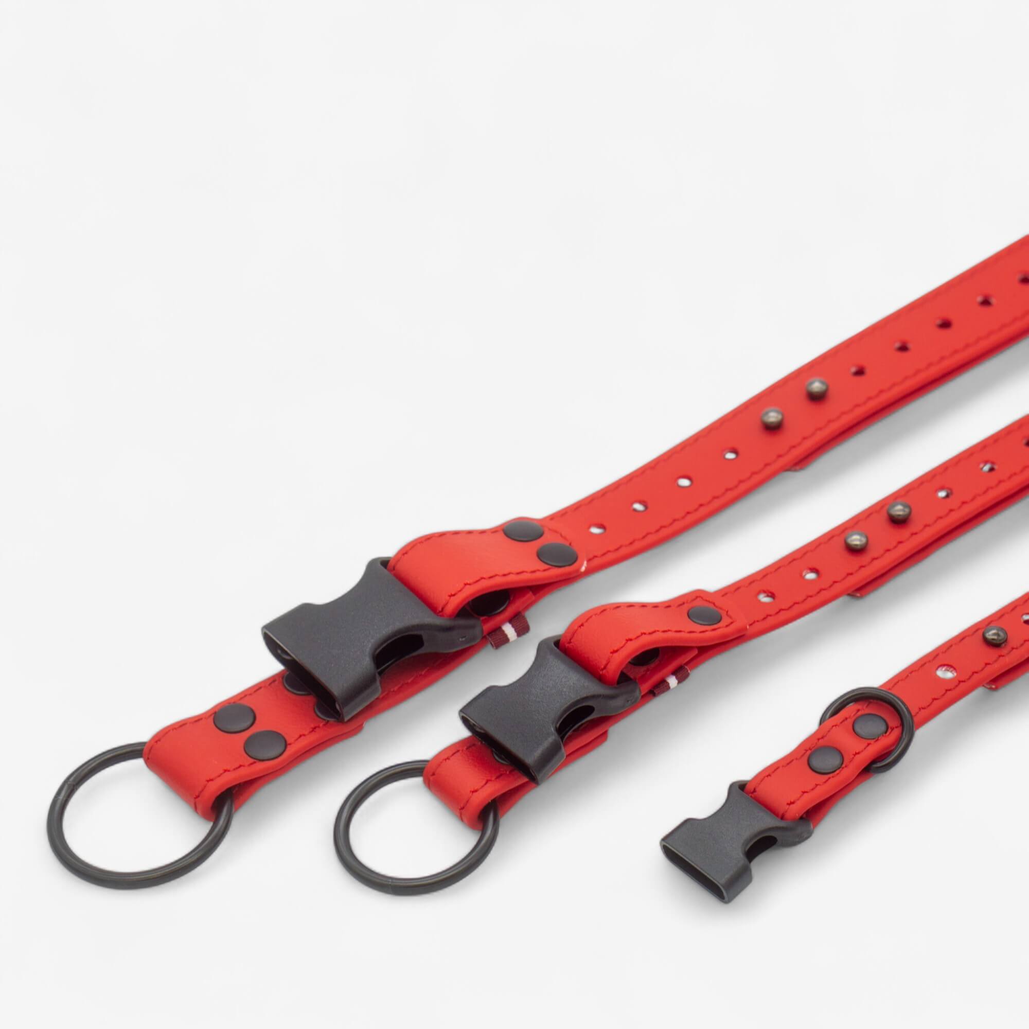 BioThane neck strap for dogs