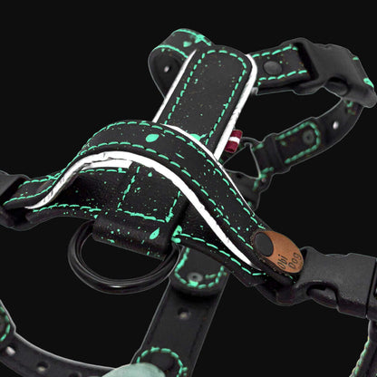 EasyFit Biothane Harness – Splash Edition