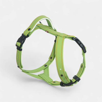 EasyFit Anatomical Y/H Harness – Waterproof & Cold-Resistant for Dogs - Lime mint green