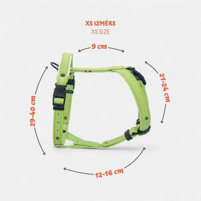 EasyFit Anatomical Y/H Harness – Waterproof & Cold-Resistant for Dogs - Lime mint green