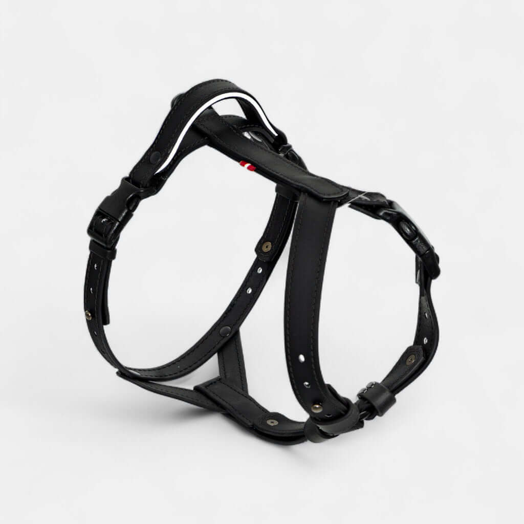 EasyFit Anatomical Y/H Harness – Waterproof & Cold-Resistant for Dogs