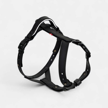 EasyFit Anatomical Y/H Harness – Waterproof & Cold-Resistant for Dogs