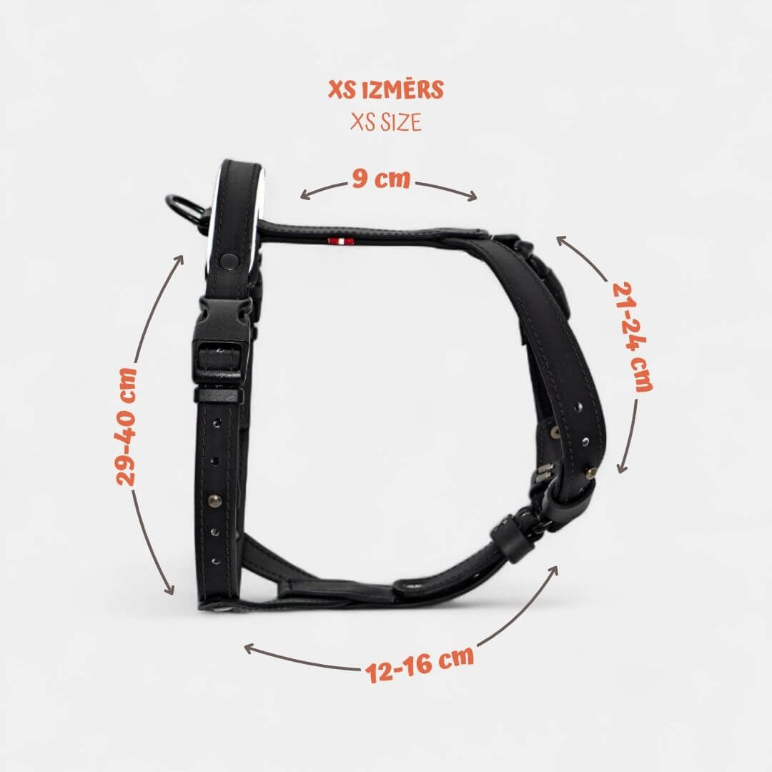EasyFit Anatomical Y/H Harness – Waterproof & Cold-Resistant for Dogs