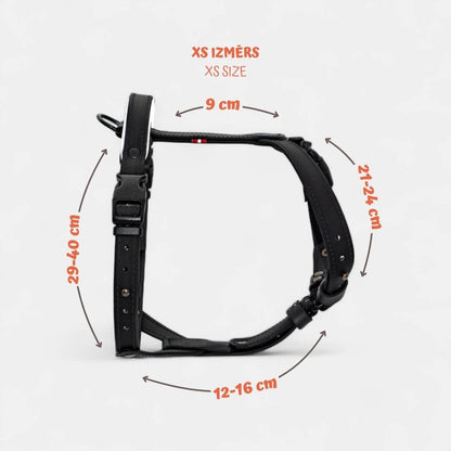 EasyFit Anatomical Y/H Harness – Waterproof & Cold-Resistant for Dogs