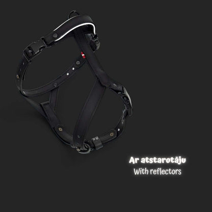 EasyFit Anatomical Y/H Harness – Waterproof & Cold-Resistant for Dogs