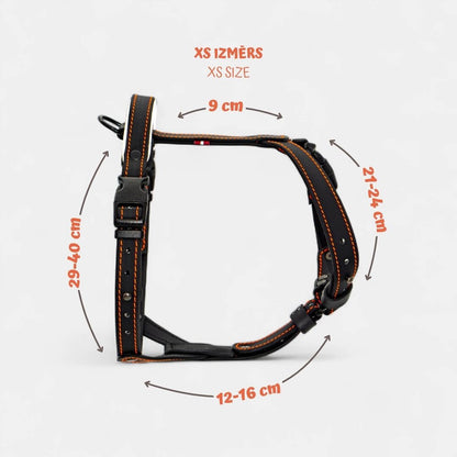 EasyFit Anatomical Y/H Harness – Waterproof & Cold-Resistant for Dogs
