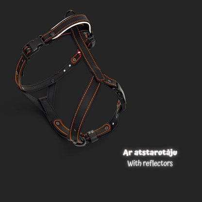 EasyFit Anatomical Y/H Harness – Waterproof & Cold-Resistant for Dogs
