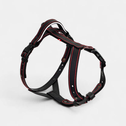 EasyFit Anatomical Y/H Harness – Waterproof & Cold-Resistant for Dogs
