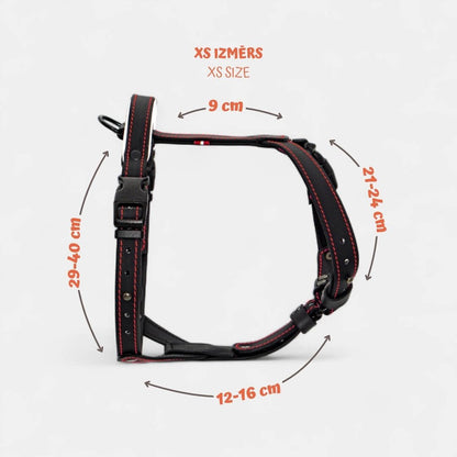 EasyFit Anatomical Y/H Harness – Waterproof & Cold-Resistant for Dogs