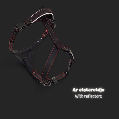EasyFit Anatomical Y/H Harness – Waterproof & Cold-Resistant for Dogs