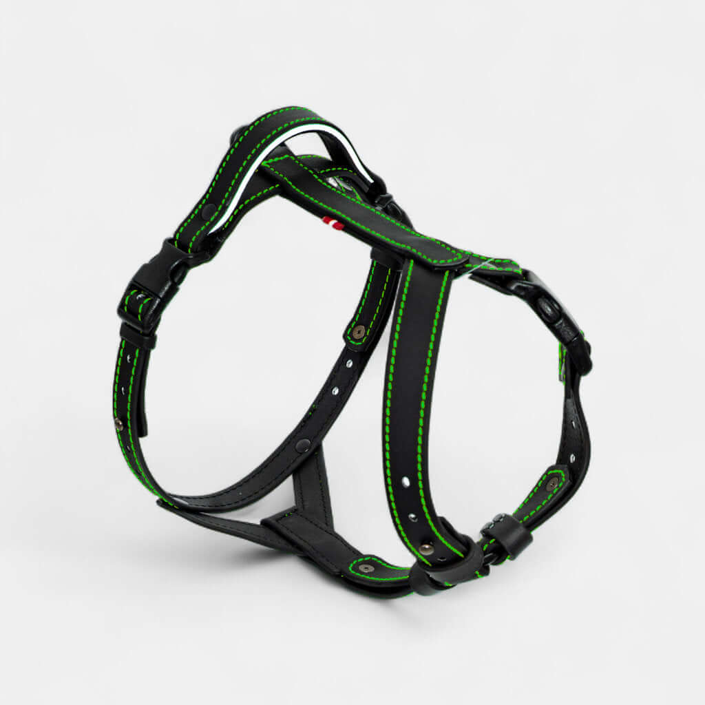 EasyFit Anatomical Y/H Harness – Waterproof & Cold-Resistant for Dogs