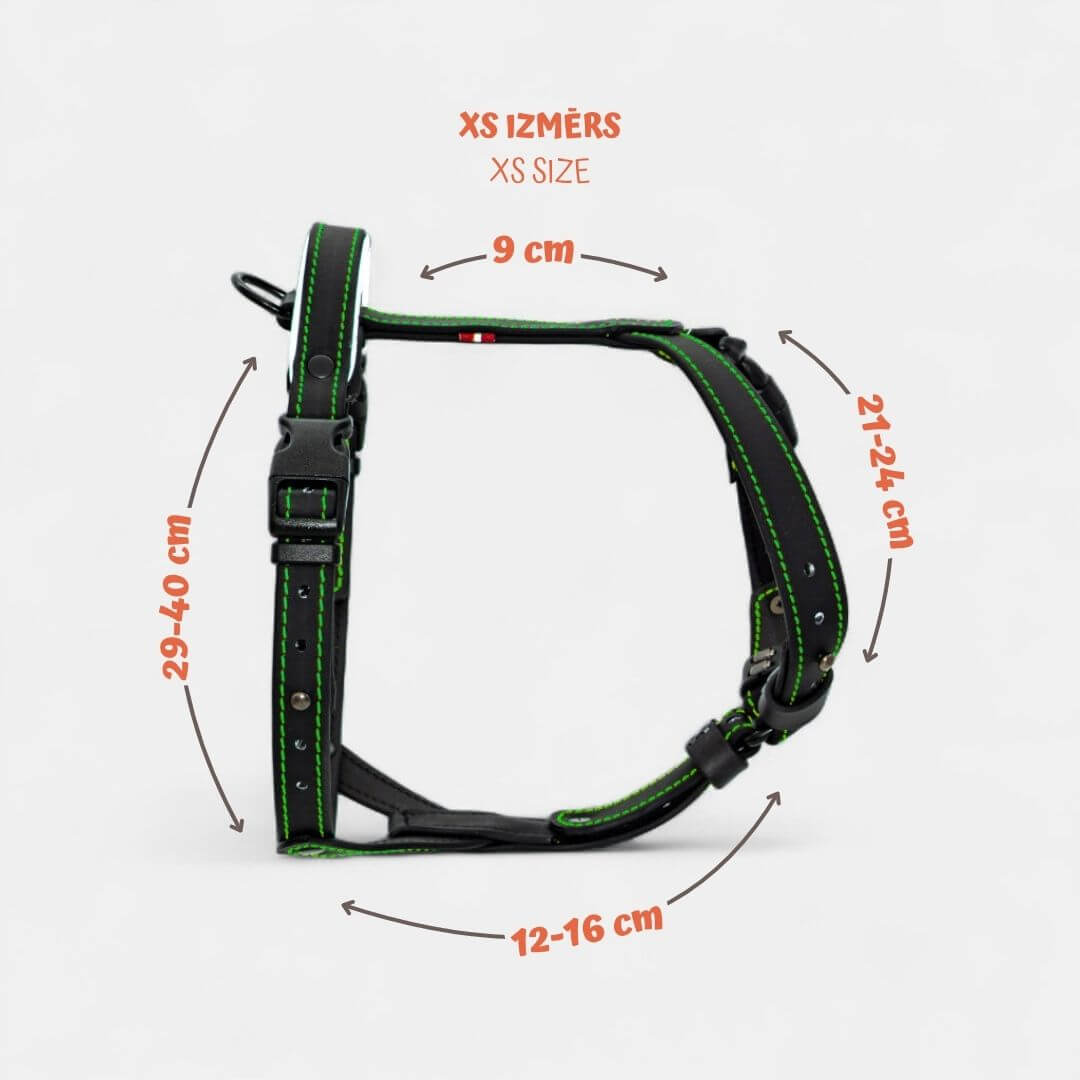 EasyFit Anatomical Y/H Harness – Waterproof & Cold-Resistant for Dogs