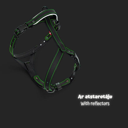 EasyFit Anatomical Y/H Harness – Waterproof & Cold-Resistant for Dogs