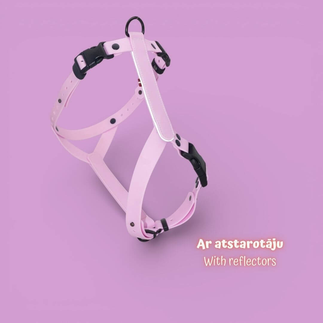 EasyFit anatomisesti oikeat – vedenpitävät koiravaljaat – Salaatinvihreä