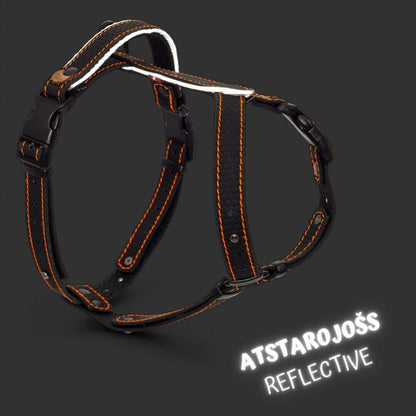 EasyFit Dog Harness – Lightweight, Reflective and Comfortable
