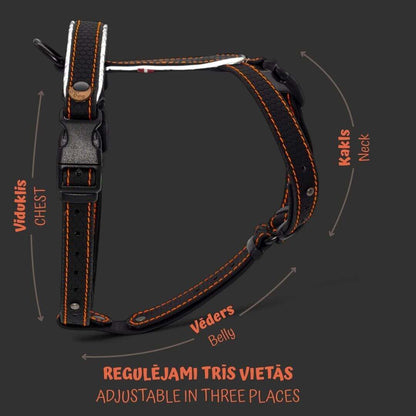 EasyFit Dog Harness – Lightweight, Reflective and Comfortable