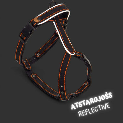 EasyFit Dog Harness – Lightweight, Reflective and Comfortable